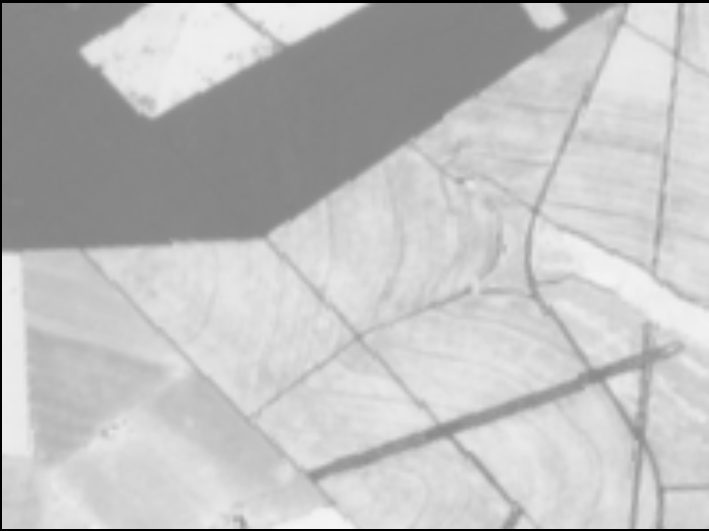 NDVI grayscale of the same property.