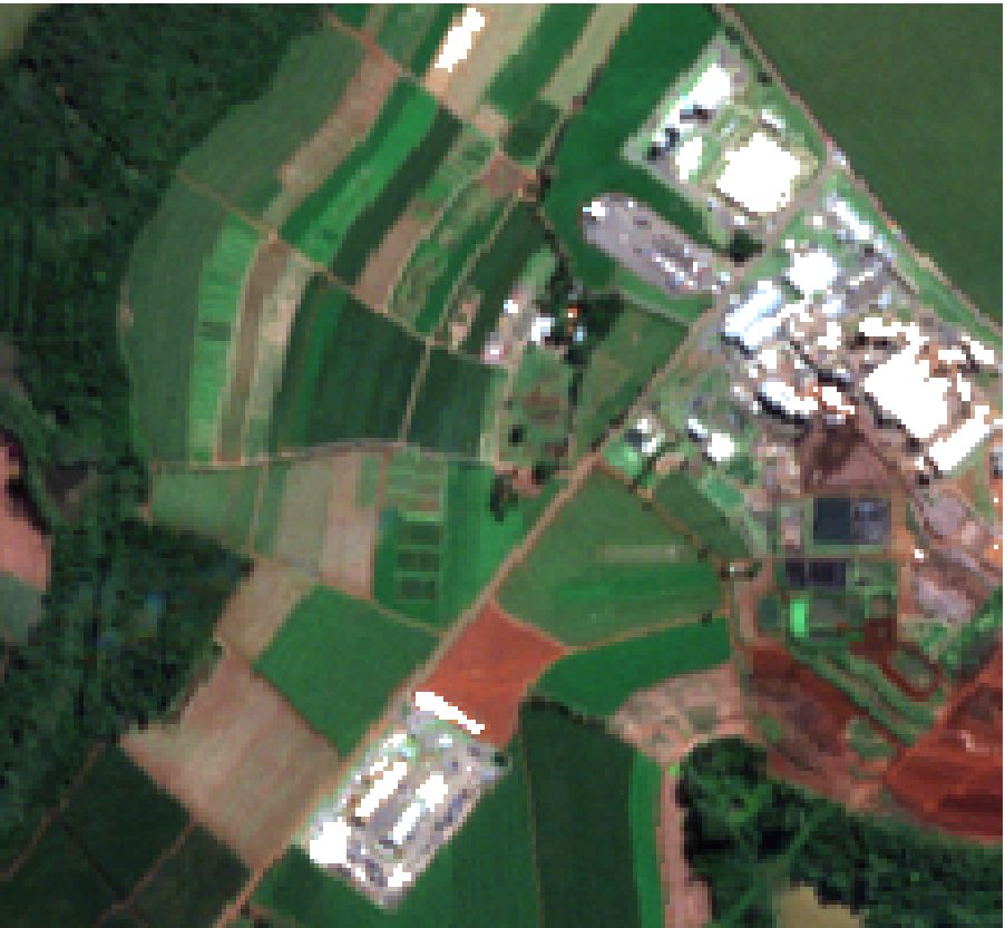 Satellite RGB of a sugarcane property.
