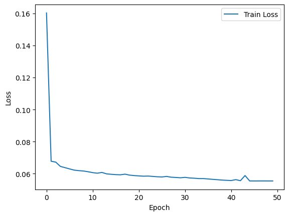 Training loss curve.