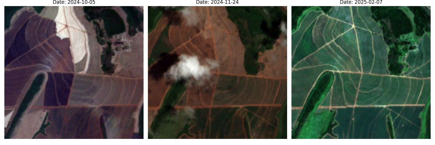 Three satellite images of the field at detected dates in 2024–2025.