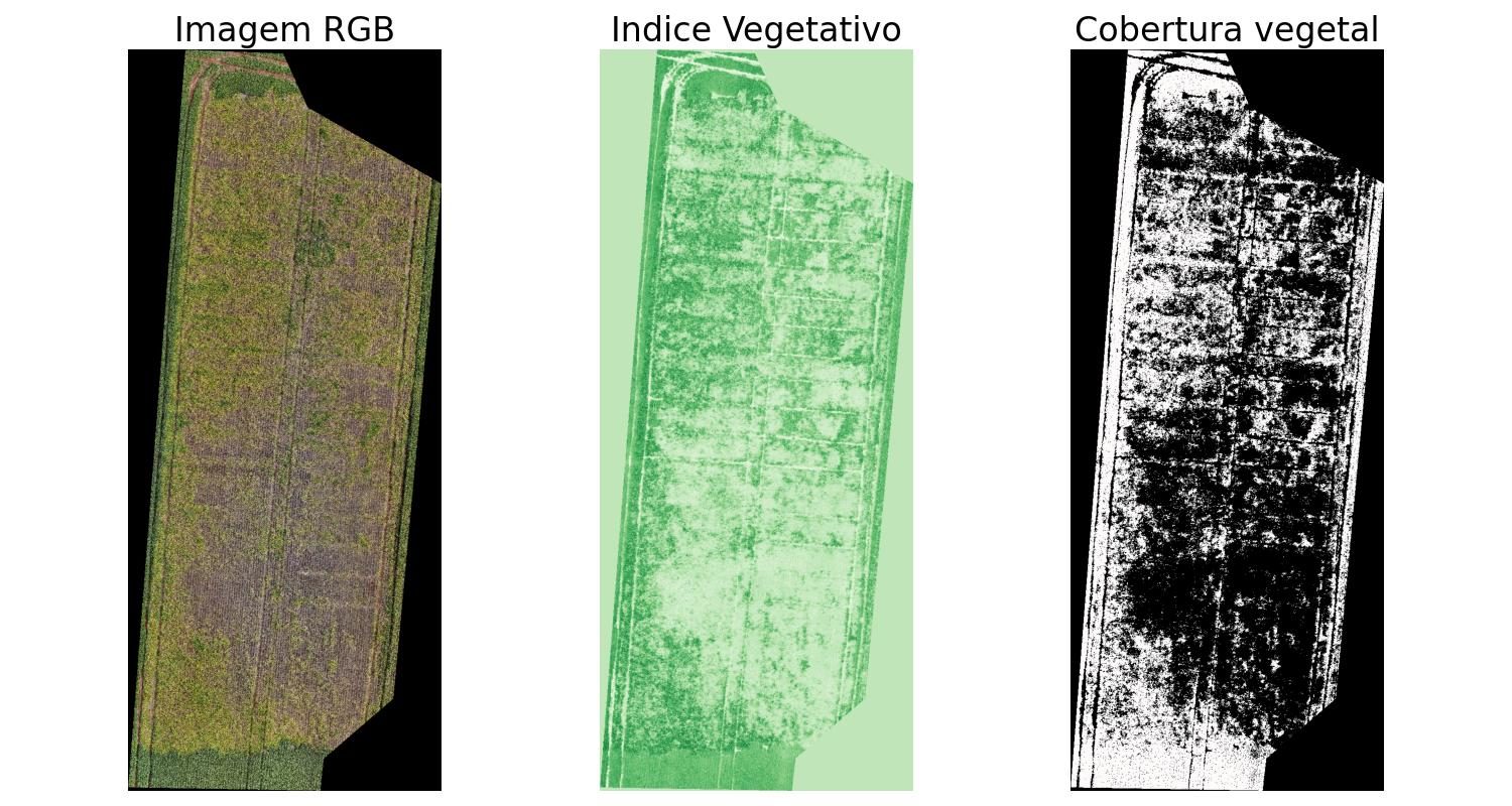 Three-panel: RGB image, vegetation index, binary vegetation mask, with the estimated area.