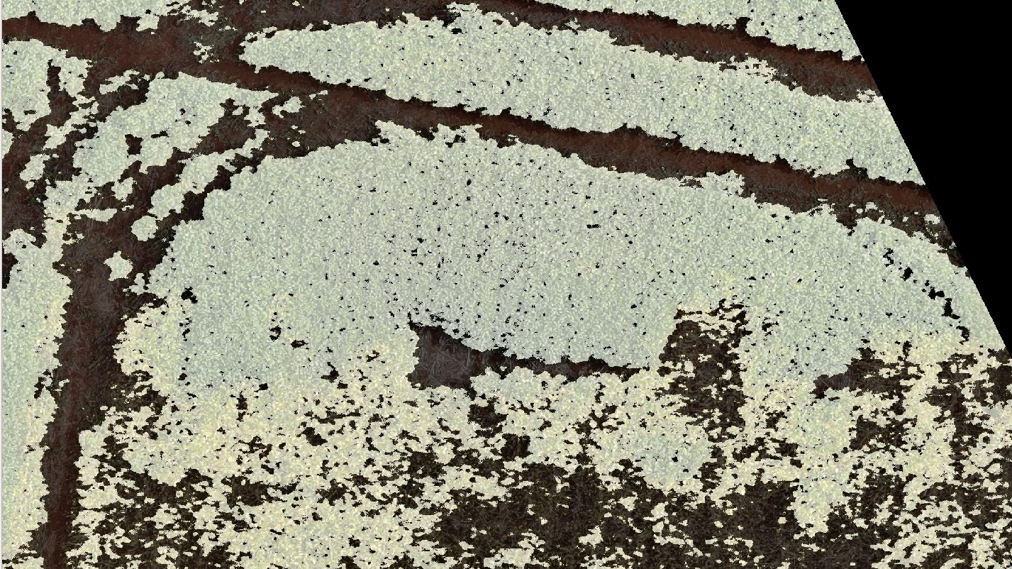 Full-resolution vegetation mask overlaid on the plot.