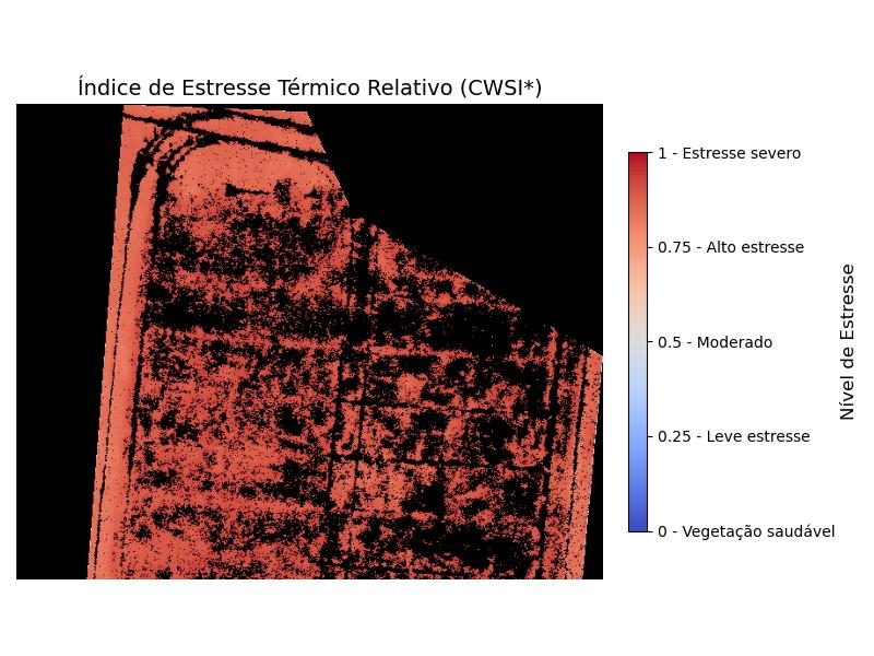 Zoomed CWSI* map of the plot.
