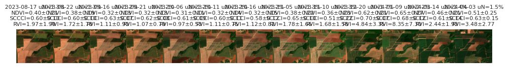 Strip of RGB satellite thumbnails of the field over time.