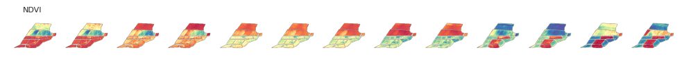 Strip of NDVI thumbnails across the same dates.