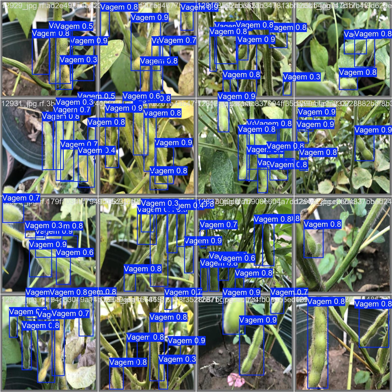 Mosaic of training images with pod bounding boxes.