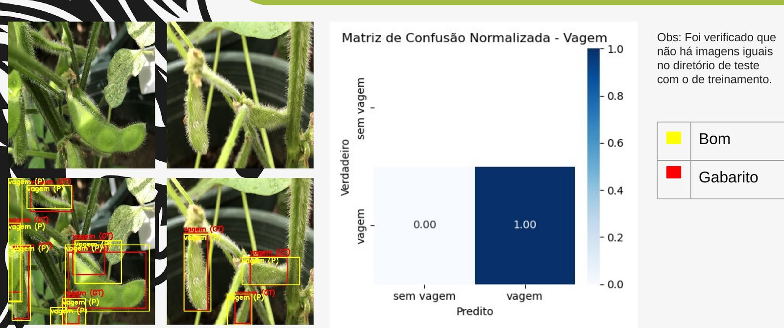 Composite of test plant photos with pod detections.