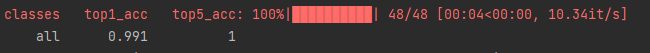 Training log line showing top-1 accuracy 0.991.